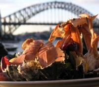 Sydney & Seafood!
